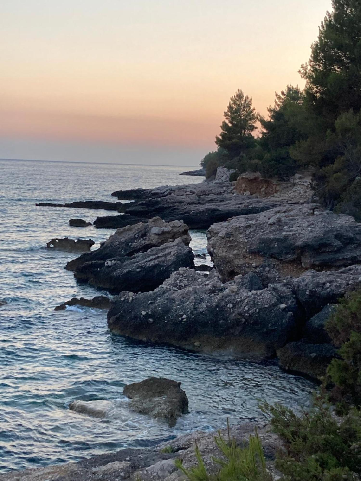 Sea View Eco House With Private Pool, 250m To - Falcon View Hvar Vila